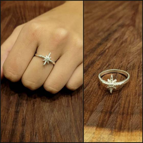 Anillos Estrella del Norte