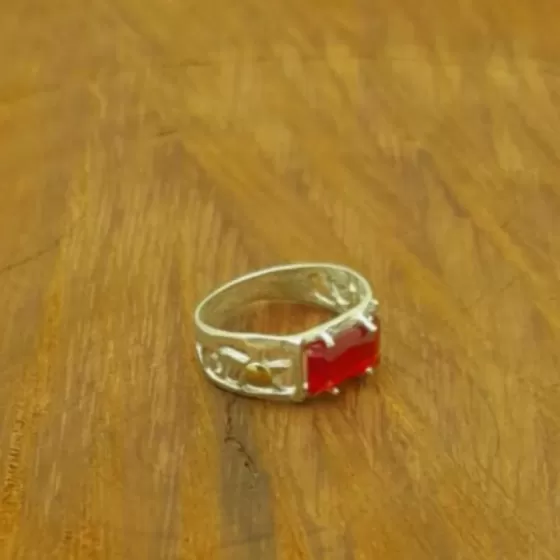Aros Pasante de Moño