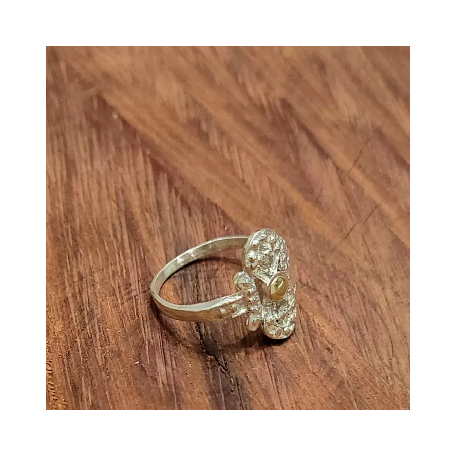 Anillos de Plata y Oro